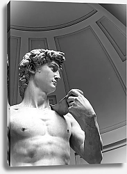 Постер Alexey Korolyov Статуя Давида. Флоренция