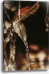 Постер SENO Медь Рассвета