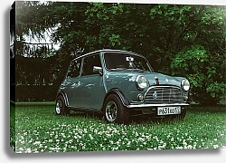 Постер Кирилл Бегларян Mini