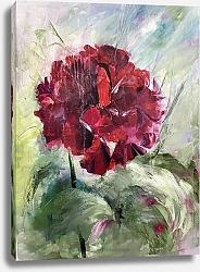 Постер Марина Орлова Герань красная