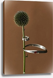 Постер Sophie Sherova dance