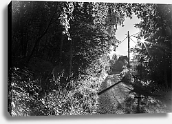 Постер Сергей Маклюк Утренний пейзаж