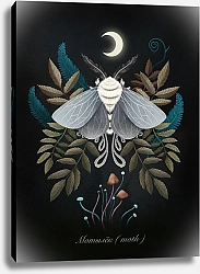 Постер Михеева Светлана Ботаническая иллюстрация 