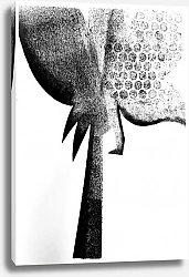 Постер София Чубич Серия графики