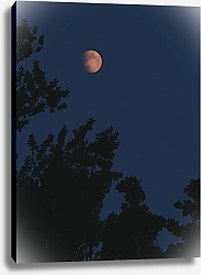 Постер Тимофеева Софья Ночь перед августом