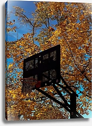 Постер Alexey Korolyov Осенний баскетбол