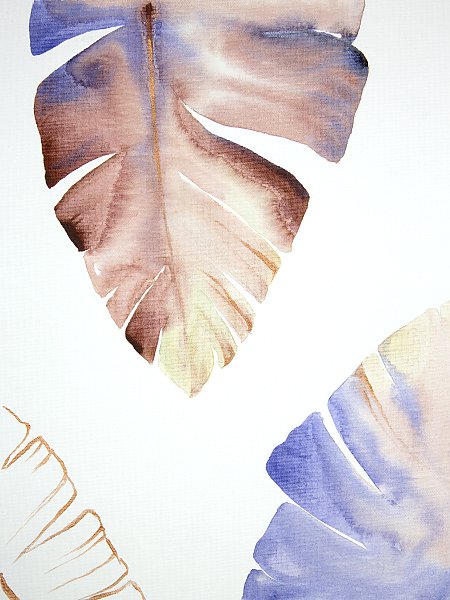 Rainforest. Banana Leaves 3