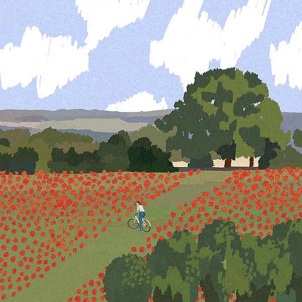 Poppy field