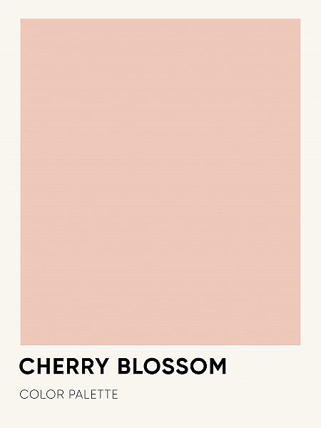 Blooming cherry