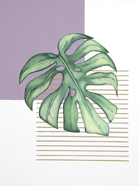 Detailed monstera leaf