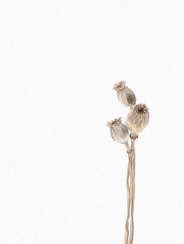 Купить минималистичные постеры от художников и фотографов России